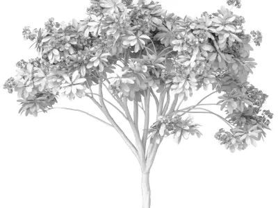 Decorative blooming outdoor garden tree with white flowers 3D model