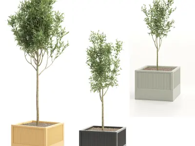 Icaria by esteve bonell 3D model