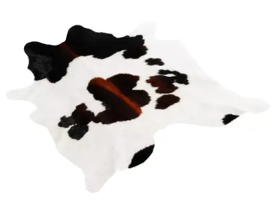 Chocolate and White Cowhide Rug 3D model