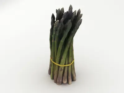 Green Asparagus Bundle 3D model