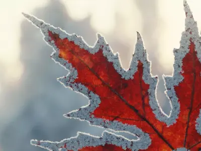 Snow Crystals - Light Pack 3D model