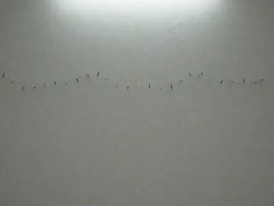  Realistic Rigged Christmas Lights 