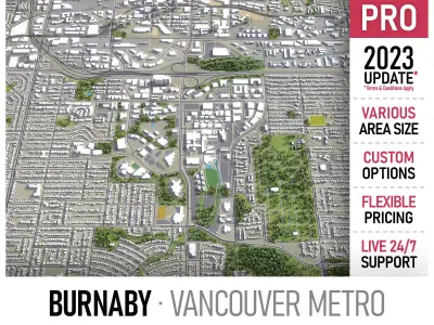 Burnaby Low-poly 3D model