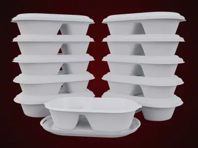 Styrofoam Disposable - Food Container 3D model