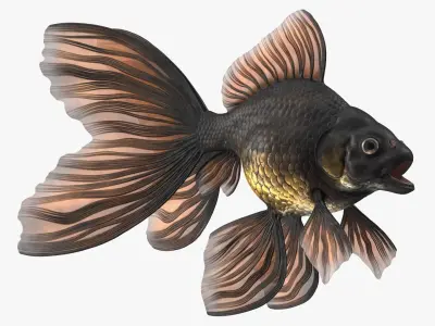  Freshwater Fish Rigged for Cinema 4D Collection 2 