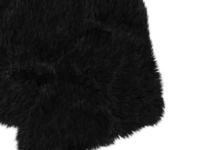 Sheepskin Area Rug 3D model