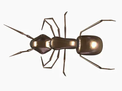 ant-sculpt 3D model