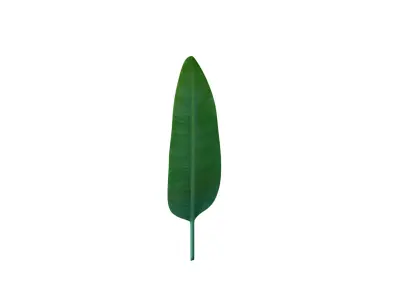 Big Leaf Low-poly 3D model