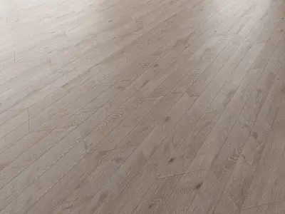 Parquet Oak Nordic NEW WWL set 6 3D model