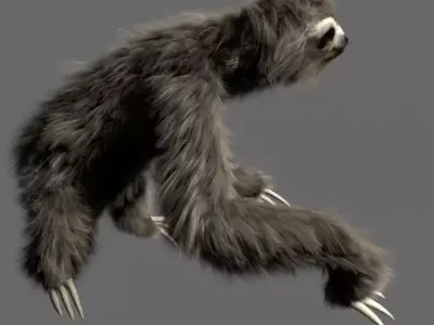 Sloth Low-poly 3D model