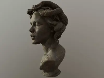 Bust of Medusa 3D model