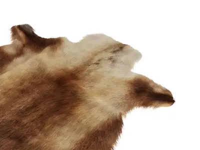 Reindeer Hide 3D model