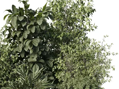 Collection mixed plants bush palm - shrubs set 06 Low-poly 3D model