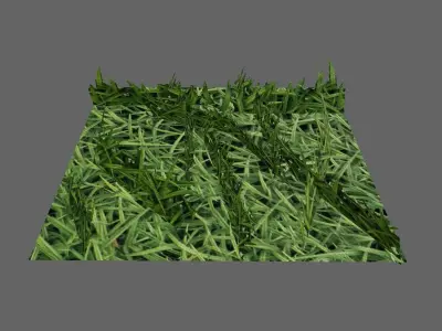 Grass Simple for Games - Grama Low-poly 3D model
