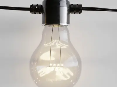 Garland and Bulb String 3D model