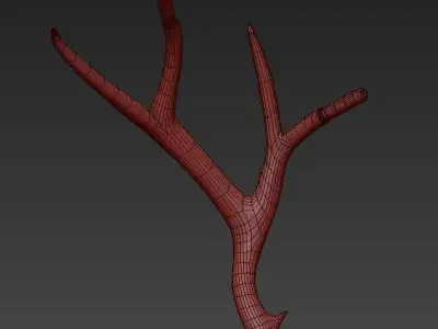 Superordinate Antlers sconce with plug von Roll Hill 3D model