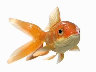  Gold fish Animated 
