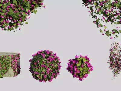 Bougainvillea Flowers and Bushes vol 1 3D model