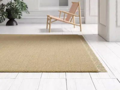 Siesta Rug Rectangular 3D model