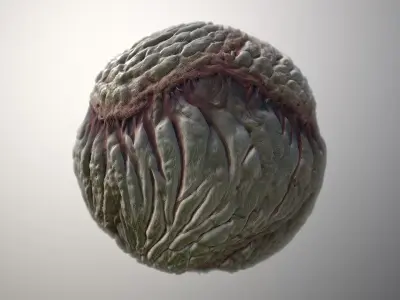 Material Skin Monster 31 Seamless PBR Texture Texture