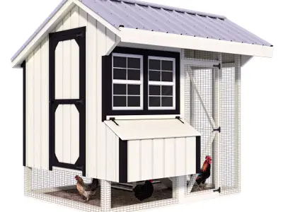 Hen hause for 10-12 chickens 3D model