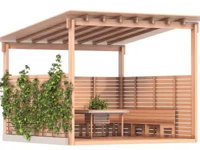Backyard Gazebo 3D model