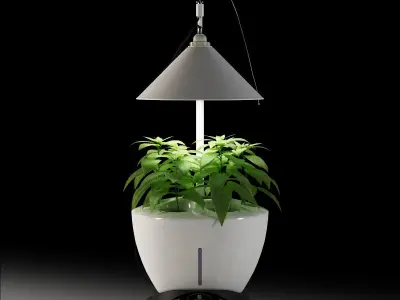 Revone Magic Garden phyto lamp Low-poly 3D model