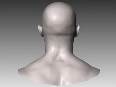 Realistic White Male Head 3D model