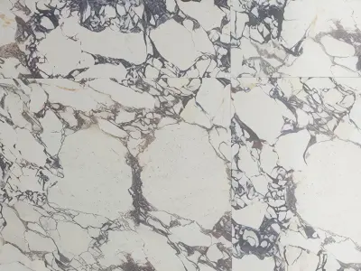 Marble 41 Texture