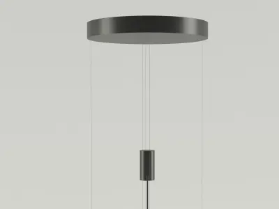 Chandelier pendant light with circular shape hanging from cei... 3D model