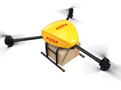 Pizza Drone Delivery Tricopter 3D model