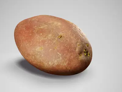  Desiree Potato - Photorealistic Scan Low-poly 3D model