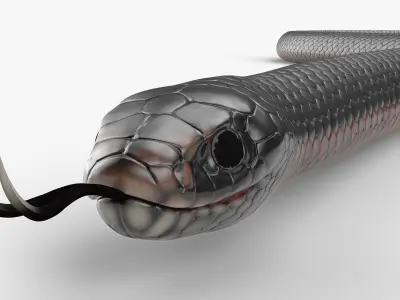  Mexican Black Kingsnake Crawling Animated Rigged For Blender 