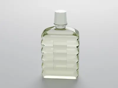 Shiling oil bottle 3D model