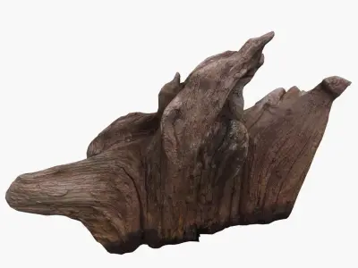 Tree Stump Low-poly 3D model