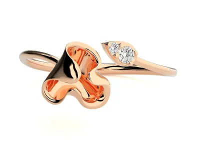 Ring - 101 3D print model