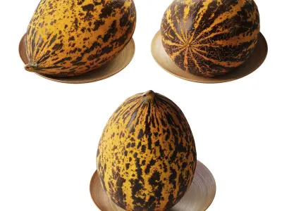 Turkish melon Kirkagach Low-poly 3D model