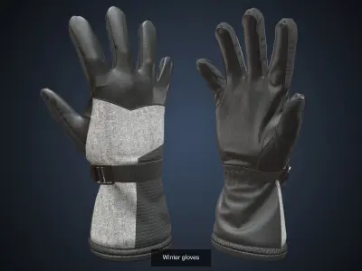 Winter gloves pack