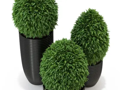 Plants collection 329 3D model