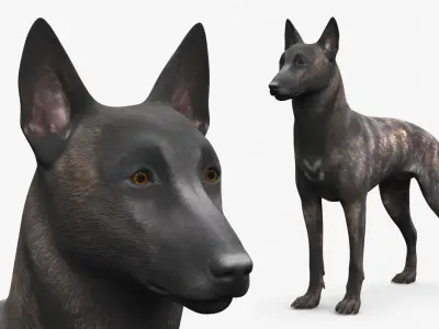  Large Dogs Collection 2 