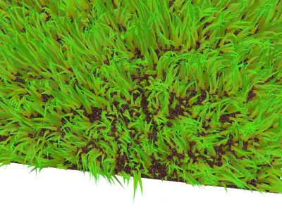 Grass 3D model