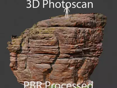 PBR Rocks Stone Forest Cliff Big Drone scan 3D model