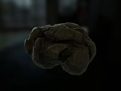 Forest Rock Low-poly 3D model