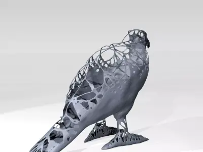 Hawk Dust Voronoi 3D model