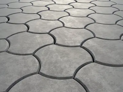 Paving stone threetoed 3D model