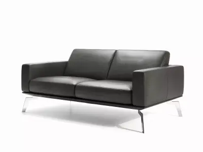 DS 87 2 Seater Sofa 3D model