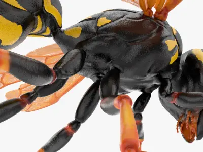  Flying Insects Rigged Collection 5 