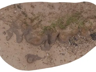 Beach Mud Ripple - High and Low Poly versions Low-poly 3D model