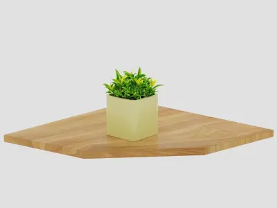 Homode Corner Shef Wall Mount 3D model