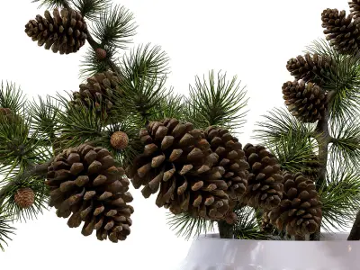 Decorative set 01 3D model